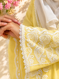 Nargis Co-ord Set 5